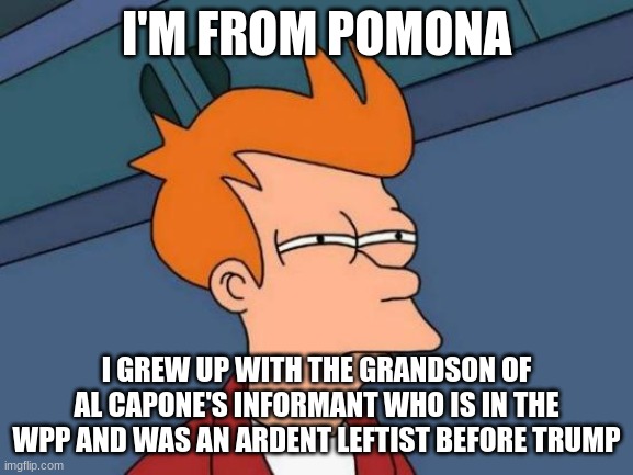 Futurama Fry Meme | I'M FROM POMONA I GREW UP WITH THE GRANDSON OF AL CAPONE'S INFORMANT WHO IS IN THE WPP AND WAS AN ARDENT LEFTIST BEFORE TRUMP | image tagged in memes,futurama fry | made w/ Imgflip meme maker