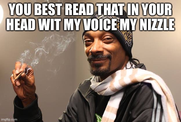 YOU BEST READ THAT IN YOUR HEAD WIT MY VOICE MY NIZZLE | image tagged in snoop dogg | made w/ Imgflip meme maker