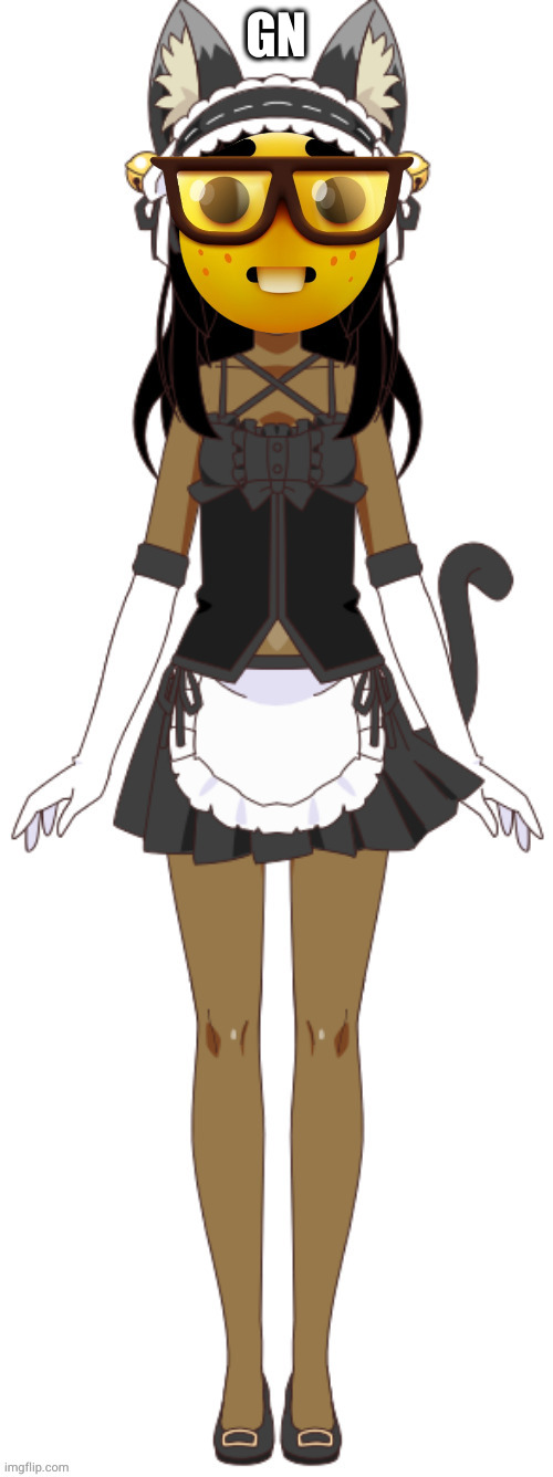 cat maid nerd | GN | image tagged in cat maid nerd | made w/ Imgflip meme maker