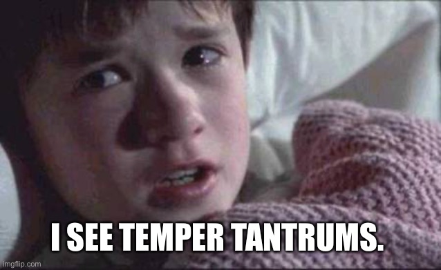I See Dead People Meme | I SEE TEMPER TANTRUMS. | image tagged in memes,i see dead people | made w/ Imgflip meme maker