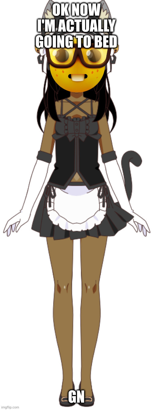 cat maid nerd | OK NOW I'M ACTUALLY GOING TO BED; GN | image tagged in cat maid nerd | made w/ Imgflip meme maker