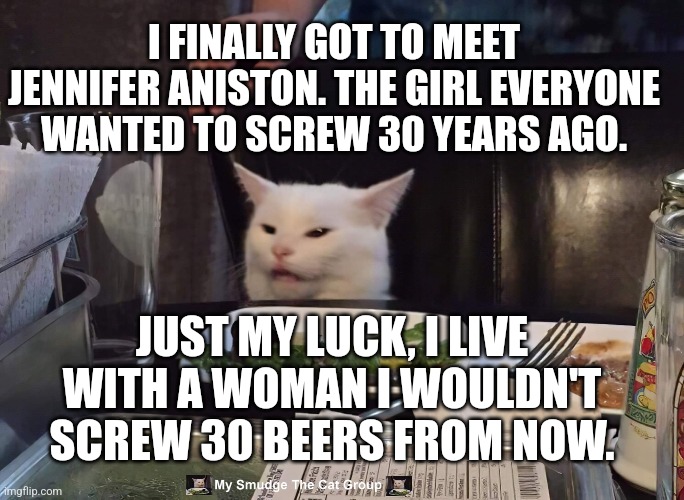 I FINALLY GOT TO MEET JENNIFER ANISTON. THE GIRL EVERYONE WANTED TO SCREW 30 YEARS AGO. JUST MY LUCK, I LIVE WITH A WOMAN I WOULDN'T SCREW 30 BEERS FROM NOW. | image tagged in smudge the cat | made w/ Imgflip meme maker