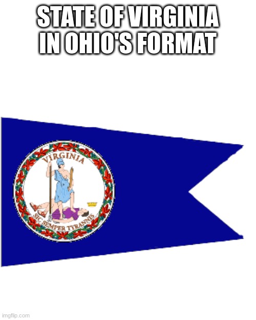 gift for M! | STATE OF VIRGINIA IN OHIO'S FORMAT | image tagged in flag | made w/ Imgflip meme maker