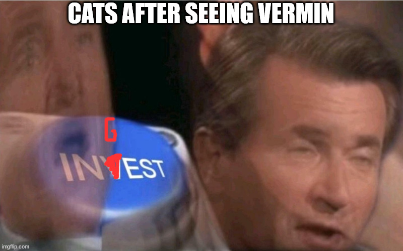 vermin are rats, for the 4yr olds | CATS AFTER SEEING VERMIN | image tagged in invest | made w/ Imgflip meme maker