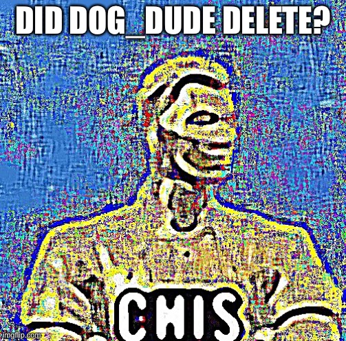 That means I post Fortnite freely? | DID DOG_DUDE DELETE? | image tagged in c h i s | made w/ Imgflip meme maker