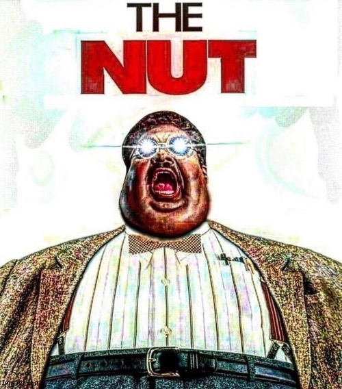 The nut | image tagged in the nut | made w/ Imgflip meme maker