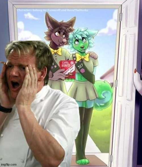 MAAA GET THE SHOTGUN | image tagged in shitpost status | made w/ Imgflip meme maker