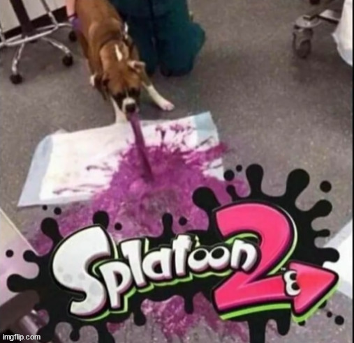splatoon 3 leaked content | image tagged in shitpost status | made w/ Imgflip meme maker