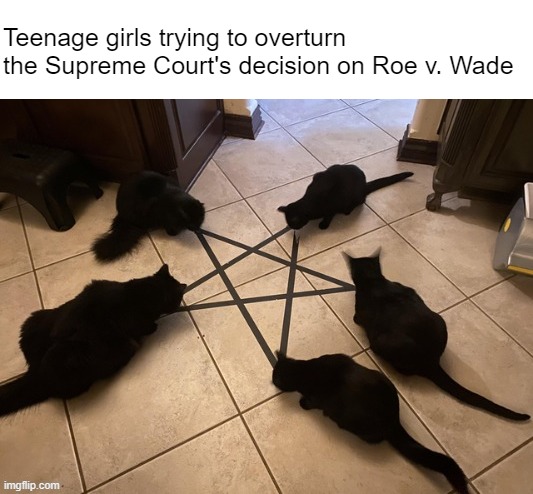 We'll see what Demogorgomoloch has to say about this | Teenage girls trying to overturn the Supreme Court's decision on Roe v. Wade | made w/ Imgflip meme maker