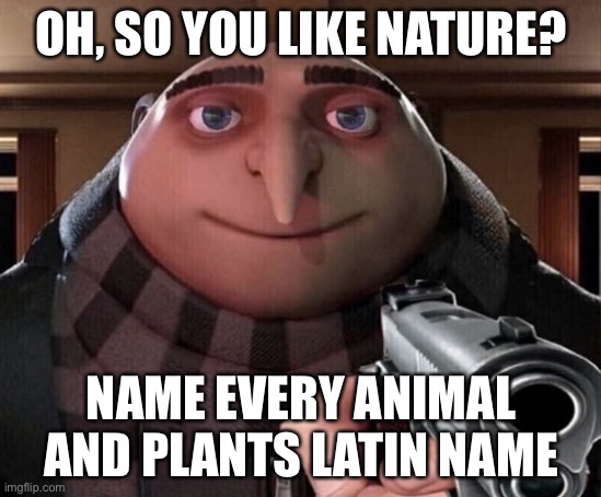 Gru Gun |  OH, SO YOU LIKE NATURE? NAME EVERY ANIMAL AND PLANTS LATIN NAME | image tagged in gru gun,memes,funny,funny memes,animals,plants | made w/ Imgflip meme maker