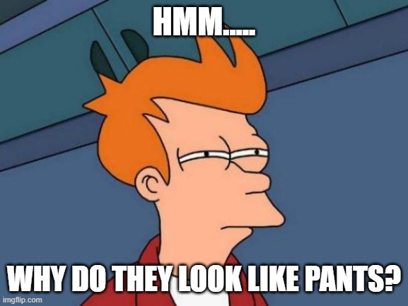 Futurama Fry Meme | HMM..... WHY DO THEY LOOK LIKE PANTS? | image tagged in memes,futurama fry | made w/ Imgflip meme maker