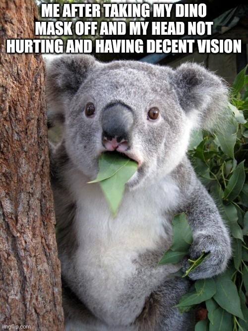 Surprised Koala Meme | ME AFTER TAKING MY DINO MASK OFF AND MY HEAD NOT HURTING AND HAVING DECENT VISION | image tagged in memes,surprised koala | made w/ Imgflip meme maker