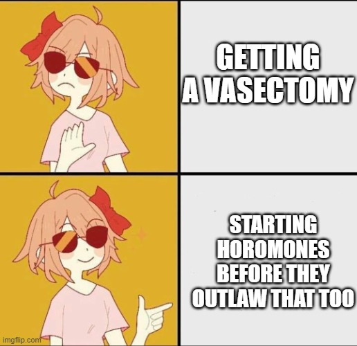 Trans MtF drake meme | GETTING A VASECTOMY; STARTING HOROMONES BEFORE THEY OUTLAW THAT TOO | image tagged in trans mtf drake meme,egg_irl | made w/ Imgflip meme maker