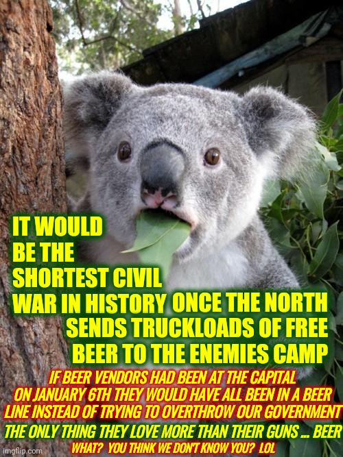 Offer Them Beer | IT WOULD BE THE SHORTEST CIVIL WAR IN HISTORY; ONCE THE NORTH
SENDS TRUCKLOADS OF FREE BEER TO THE ENEMIES CAMP; IF BEER VENDORS HAD BEEN AT THE CAPITAL ON JANUARY 6TH THEY WOULD HAVE ALL BEEN IN A BEER LINE INSTEAD OF TRYING TO OVERTHROW OUR GOVERNMENT; THE ONLY THING THEY LOVE MORE THAN THEIR GUNS ... BEER; WHAT?  YOU THINK WE DON'T KNOW YOU?  LOL | image tagged in memes,surprised koala,trumpublican terrorists,the supremes court,not the supreme court,trumpublican terrorist court | made w/ Imgflip meme maker