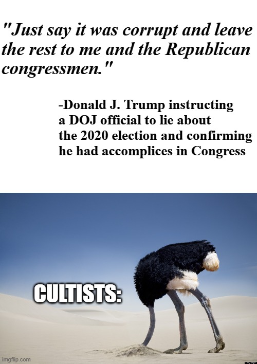 The problem with cultists | "Just say it was corrupt and leave
the rest to me and the Republican
congressmen."; -Donald J. Trump instructing a DOJ official to lie about the 2020 election and confirming he had accomplices in Congress; CULTISTS: | image tagged in blank white template,ostrich head in sand | made w/ Imgflip meme maker