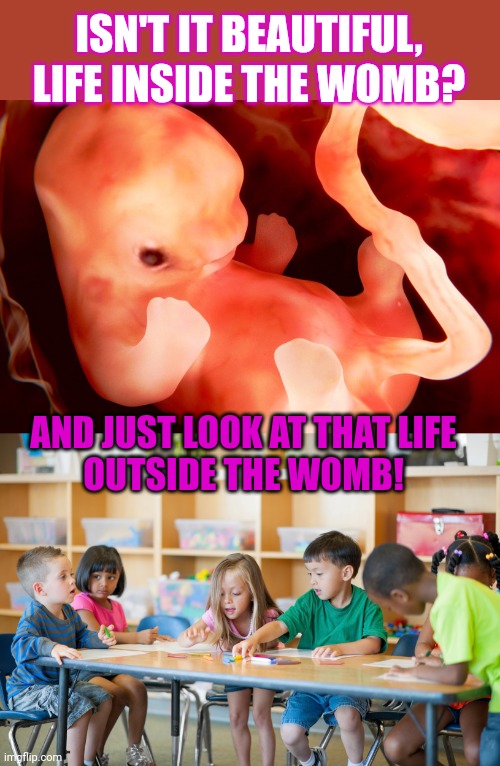 Fake Christians only support laws that protect one category of kids |  ISN'T IT BEAUTIFUL, LIFE INSIDE THE WOMB? AND JUST LOOK AT THAT LIFE
OUTSIDE THE WOMB! | image tagged in evangelicals,christian,hypocrisy,abortion,children,life | made w/ Imgflip meme maker
