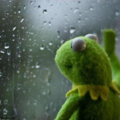 Kermit window | image tagged in kermit window | made w/ Imgflip meme maker