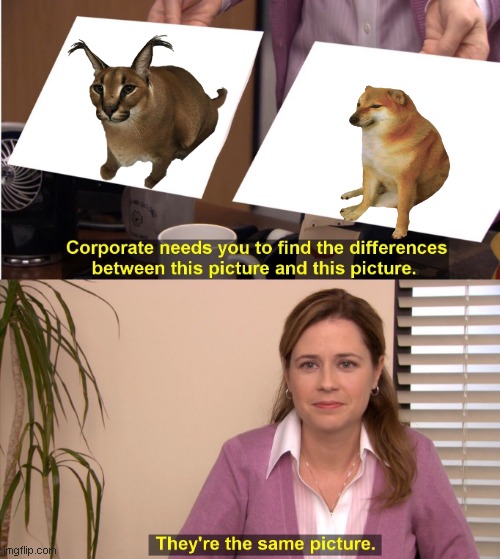 They're The Same Picture | image tagged in memes,they're the same picture | made w/ Imgflip meme maker