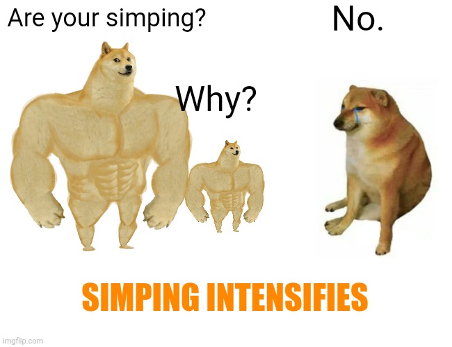 Simping Cheems |  No. Are your simping? Why? SIMPING INTENSIFIES | image tagged in memes,buff doge vs cheems | made w/ Imgflip meme maker