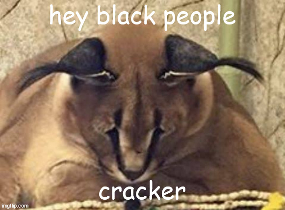 idk anymore | hey black people; cracker | image tagged in depressed floppa | made w/ Imgflip meme maker