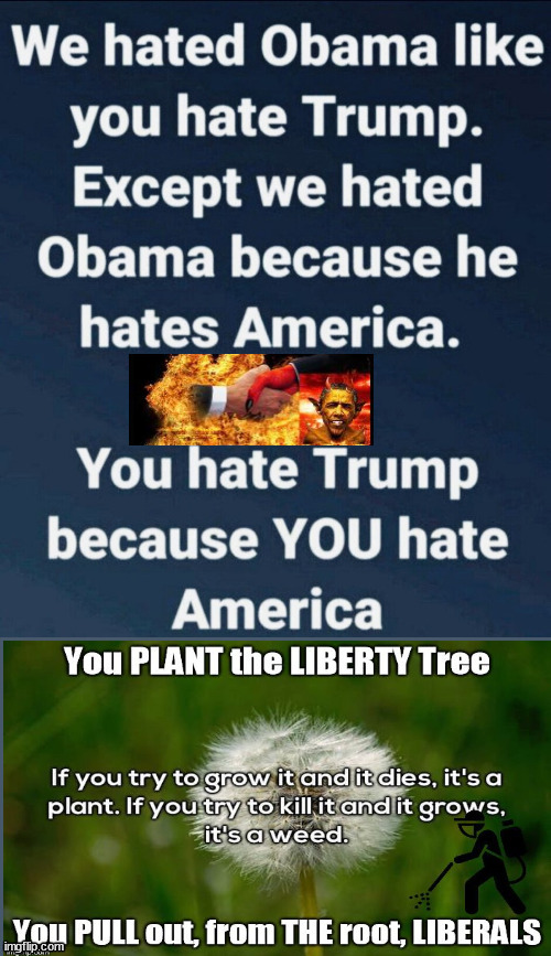 Obama...the Weed that grows without water | image tagged in obama,weed vs plant,democrats,evil,trump | made w/ Imgflip meme maker
