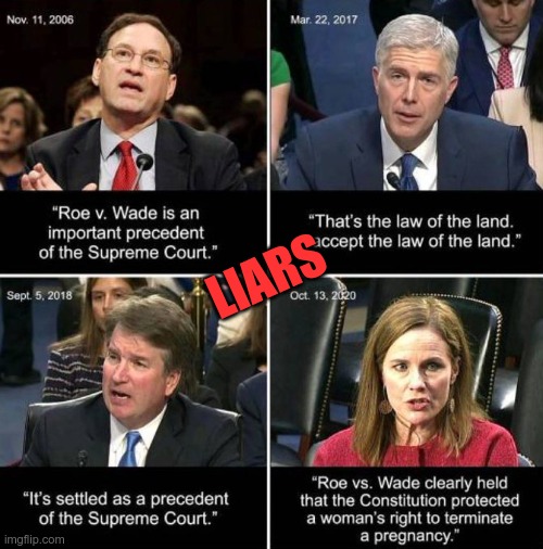 They lied to Congress | LIARS | image tagged in sharia law,gop,liars,ignorance,pathetic people | made w/ Imgflip meme maker
