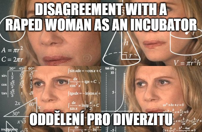 Calculating meme | DISAGREEMENT WITH A RAPED WOMAN AS AN INCUBATOR; ODDĚLENÍ PRO DIVERZITU | image tagged in calculating meme | made w/ Imgflip meme maker