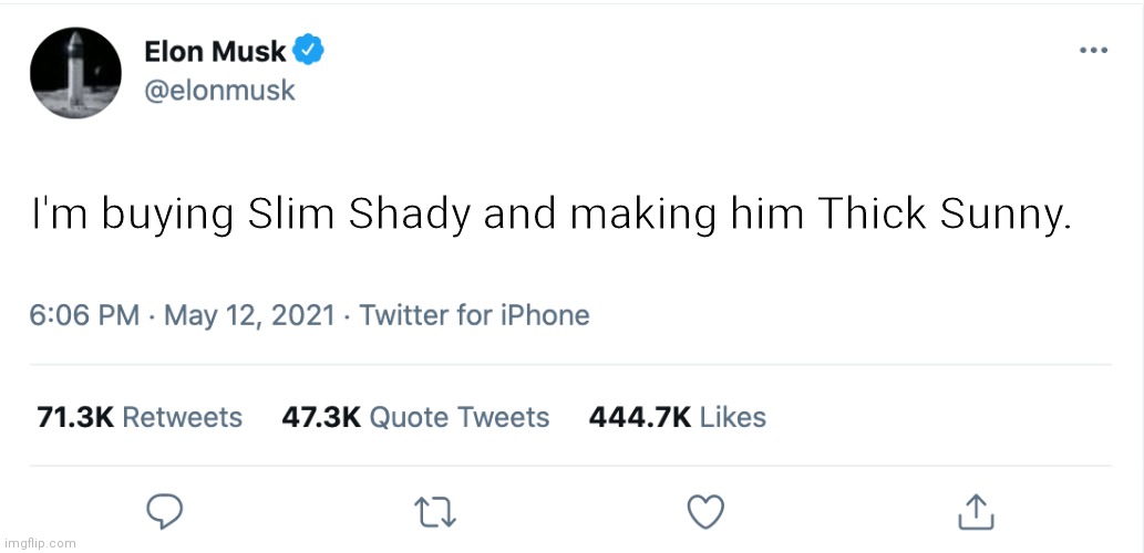 Elon Musk Blank Tweet | I'm buying Slim Shady and making him Thick Sunny. | image tagged in elon musk blank tweet | made w/ Imgflip meme maker