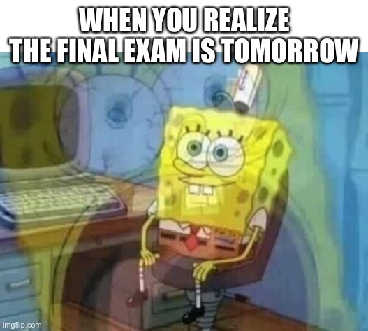 Welp guess I’ll fail | WHEN YOU REALIZE THE FINAL EXAM IS TOMORROW | image tagged in internal screaming | made w/ Imgflip meme maker