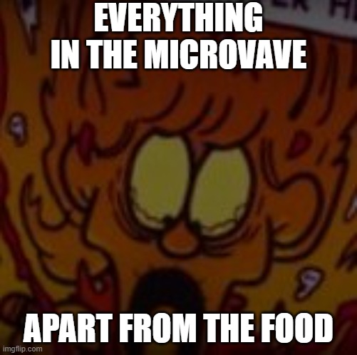 WHERE'S MY MEATBALLS | EVERYTHING IN THE MICROVAVE; APART FROM THE FOOD | image tagged in where's my meatballs | made w/ Imgflip meme maker