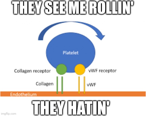 They see me rollin' | THEY SEE ME ROLLIN'; THEY HATIN' | image tagged in they see me rolling,science,nerd,biology,blood,geek | made w/ Imgflip meme maker
