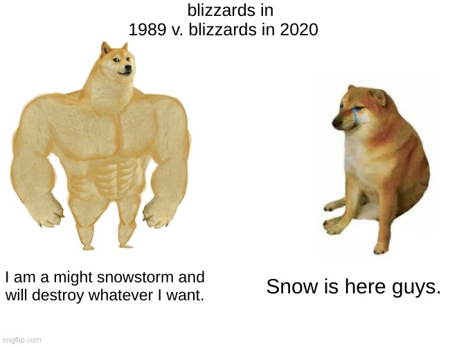Buff Doge vs. Cheems |  blizzards in 1989 v. blizzards in 2020; I am a might snowstorm and will destroy whatever I want. Snow is here guys. | image tagged in memes,buff doge vs cheems | made w/ Imgflip meme maker