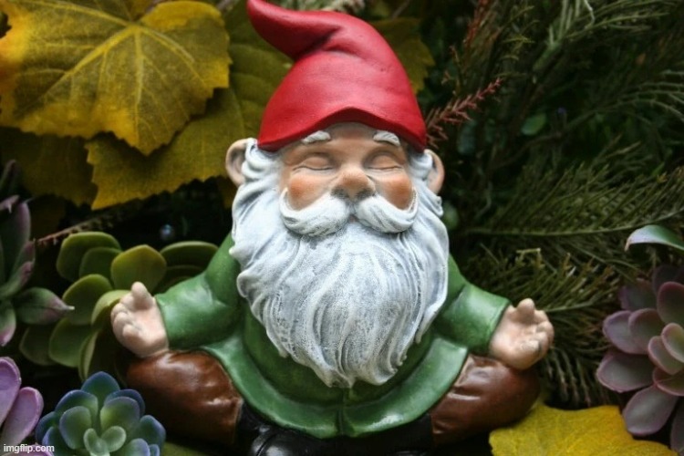 Gnomaste | image tagged in gnomaste | made w/ Imgflip meme maker