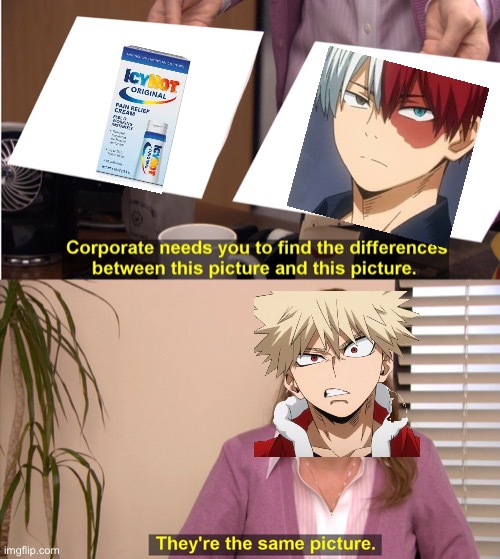 Tordoroki = IcyHot | image tagged in corporate wants you to find the difference | made w/ Imgflip meme maker