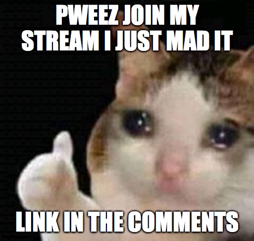PLEASE JOIN MY STREAM LIKE HOW YOU JOINED THIS ONE |  PWEEZ JOIN MY STREAM I JUST MAD IT; LINK IN THE COMMENTS | image tagged in sad thumbs up cat | made w/ Imgflip meme maker