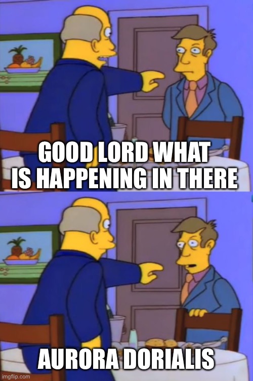 Good Lord, What is Happening in There | GOOD LORD WHAT IS HAPPENING IN THERE AURORA DORIALIS | image tagged in good lord what is happening in there | made w/ Imgflip meme maker