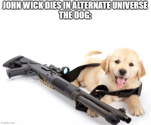 ahhhhhhhhhhhhhhh | JOHN WICK DIES IN ALTERNATE UNIVERSE
THE DOG: | image tagged in dogs,john wick,alternate reality | made w/ Imgflip meme maker