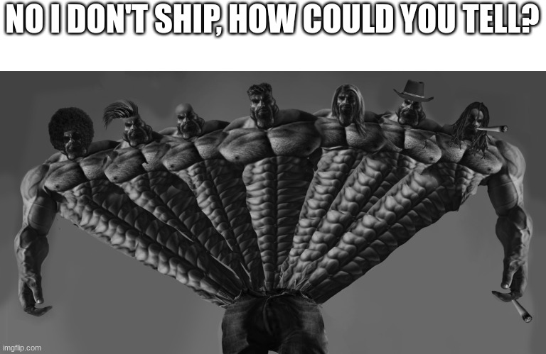 NO I DON'T SHIP, HOW COULD YOU TELL? | made w/ Imgflip meme maker