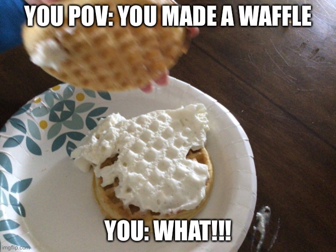 You make a waffle | YOU POV: YOU MADE A WAFFLE; YOU: WHAT!!! | image tagged in crazy waffle | made w/ Imgflip meme maker