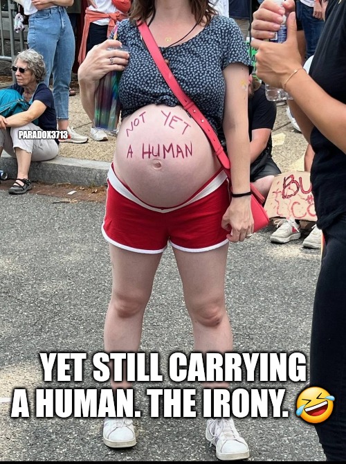 Humanized it for ya! | PARADOX3713; YET STILL CARRYING A HUMAN. THE IRONY. 🤣 | image tagged in memes,politics,democrats,black lives matter,antifa,abortion | made w/ Imgflip meme maker
