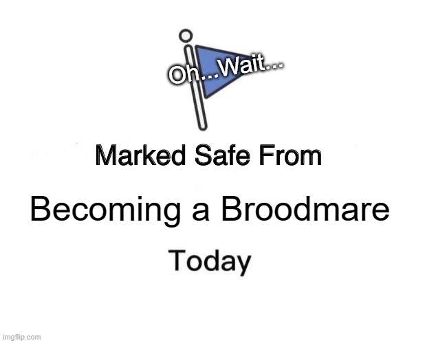 Broodmare | Oh...Wait... Becoming a Broodmare | image tagged in memes,marked safe from | made w/ Imgflip meme maker