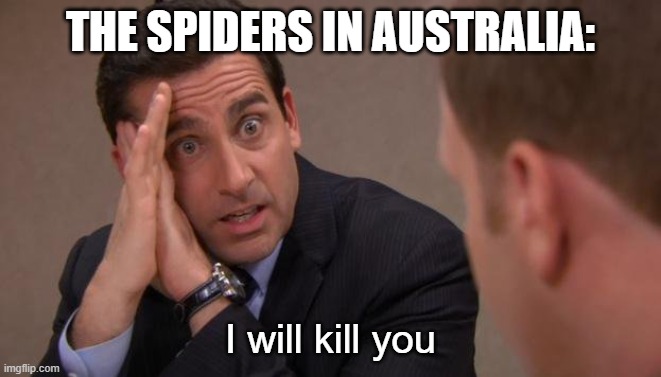 Michael Scott I will kill you | THE SPIDERS IN AUSTRALIA: I will kill you | image tagged in michael scott i will kill you | made w/ Imgflip meme maker
