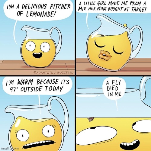 Pitcher of lemonade | image tagged in pitcher,lemonade,fly,comics,comics/cartoons,comic | made w/ Imgflip meme maker