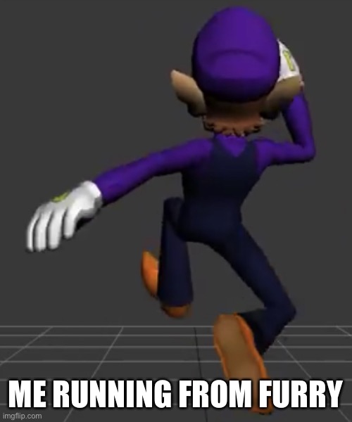 RUN -blobie | ME RUNNING FROM FURRY | image tagged in waluigi running | made w/ Imgflip meme maker