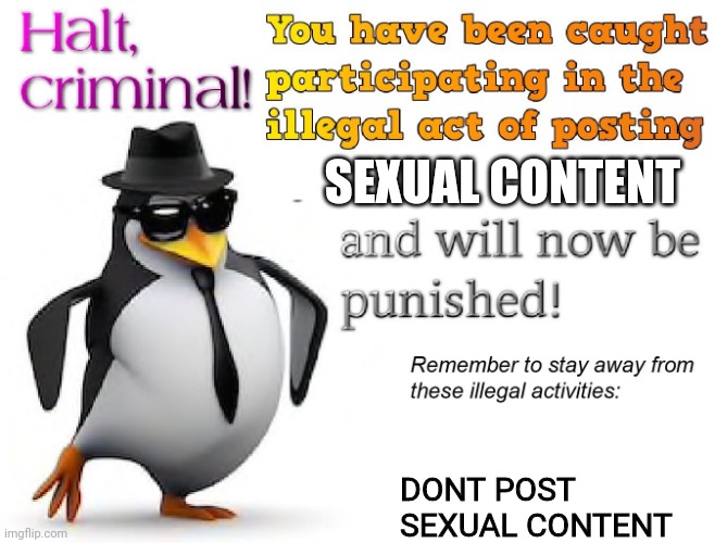 halt criminal! | SEXUAL CONTENT DONT POST SEXUAL CONTENT | image tagged in halt criminal | made w/ Imgflip meme maker