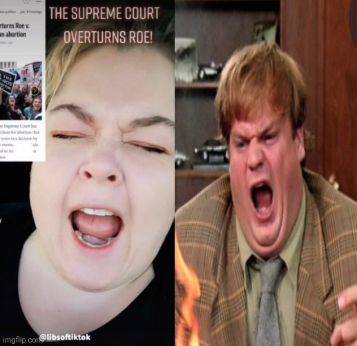 1984 | KD | image tagged in liberals,abortion,democrats,feminist,feminism,women | made w/ Imgflip meme maker