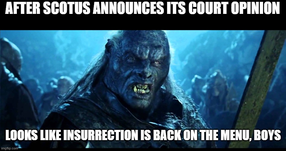 Looks like meat's back on the menu, boys! | AFTER SCOTUS ANNOUNCES ITS COURT OPINION; LOOKS LIKE INSURRECTION IS BACK ON THE MENU, BOYS | image tagged in looks like meat's back on the menu boys | made w/ Imgflip meme maker