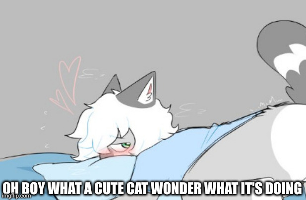 guys don't worry she's just tired and experiencing a heatwave | image tagged in what a cute cat | made w/ Imgflip meme maker