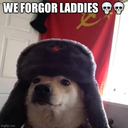 I accidentally posted this in gaming | WE FORGOR LADDIES 💀💀 | image tagged in russian doge | made w/ Imgflip meme maker