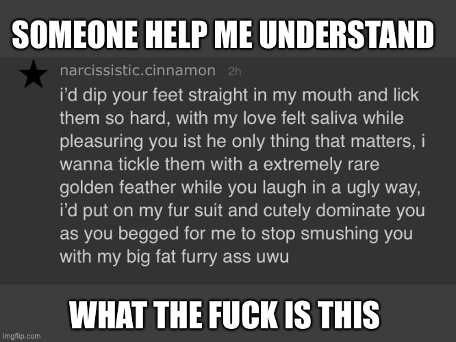 I am lost for words | SOMEONE HELP ME UNDERSTAND; WHAT THE FUCK IS THIS | image tagged in cinny,cinna,memechat,wtf is this | made w/ Imgflip meme maker